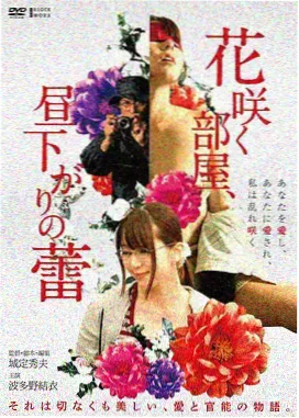 成人电影视频 诺兰专题